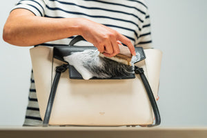 Hero Image of Leather Bag Cleaners